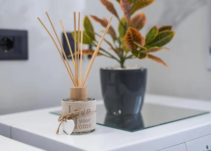 公寓 Casa Di Gina 罗马